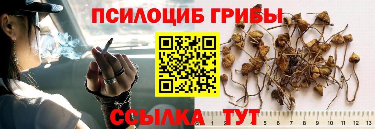 Псилоцибиновые грибы Magic Shrooms  Вход с VPN  Лосино-Петровский 